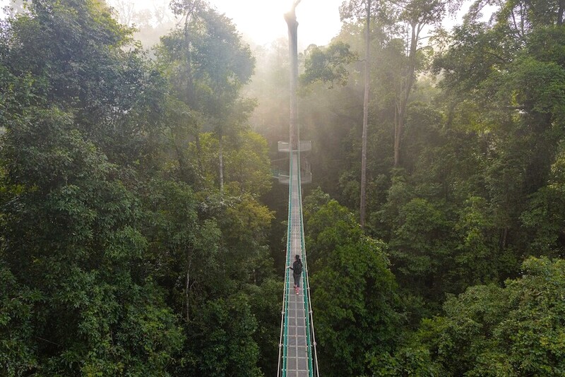 Thung lũng Danum hoang sơ tuyệt đối.