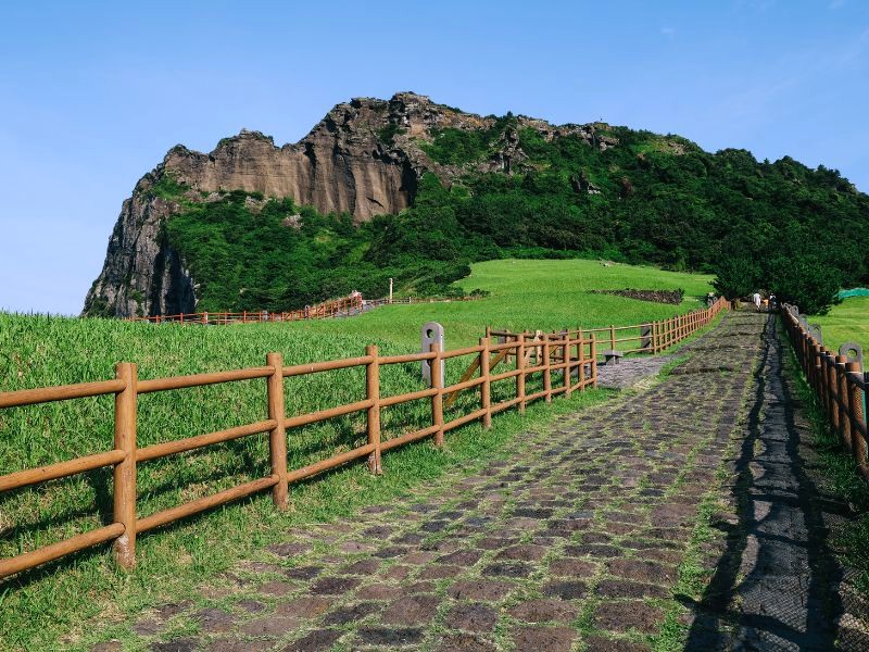 Jeju: Xinh đẹp thơ mộng! (Ảnh: pangjee_9)