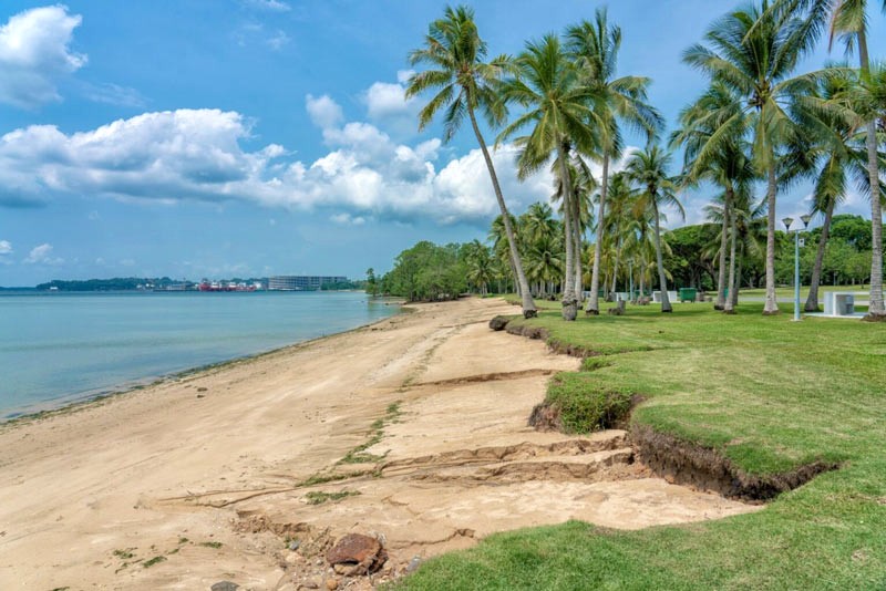 Bãi biển Pasir Ris, Singapore, dài 6km.