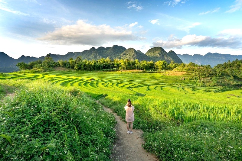 Khám phá đồng lúa chín Pù Luông.