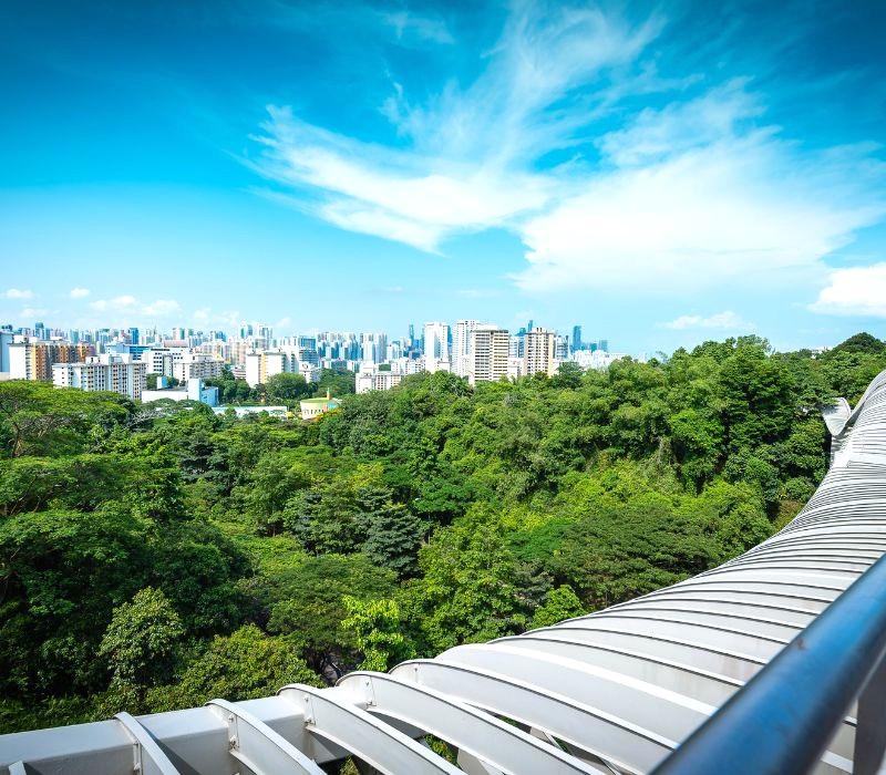 Cầu Henderson Waves: Cảnh quan đô thị tuyệt đẹp.