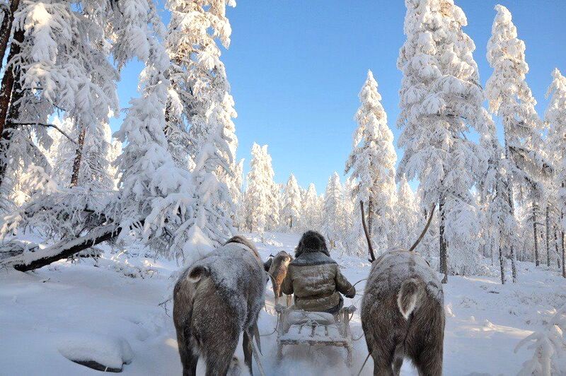 **Cưỡi tuần lộc ở Oymyakon**