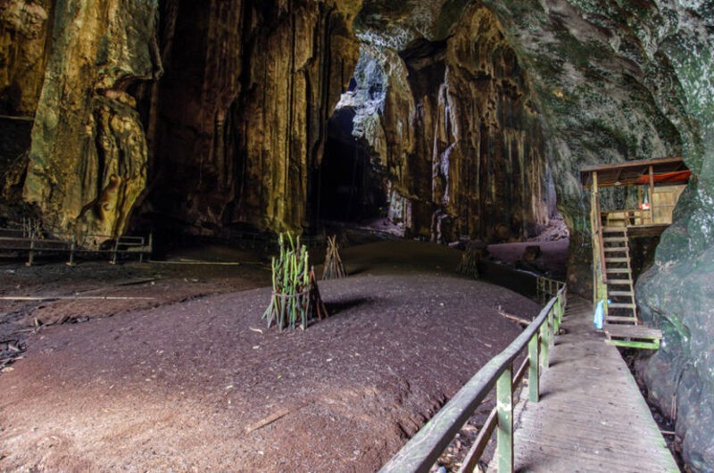 Yến sào quý giá trong hang động.