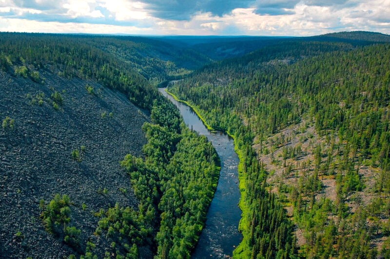 Hoang dã Savukoski, Lapland.fi.