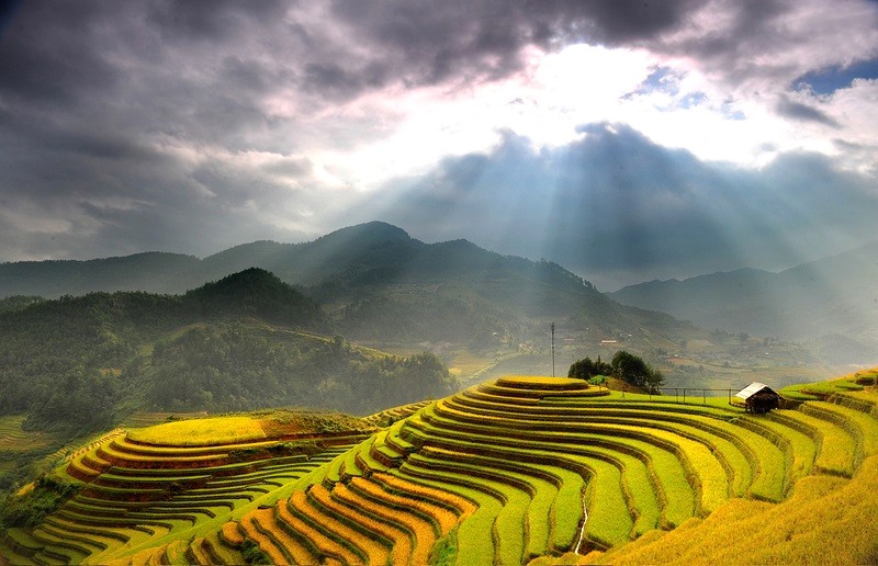 Hoàng Su Phì đẹp nhất vào mùa thu hoạch với những thửa ruộng bậc thang ấn tượng. (Ảnh: indochinatravelpackages)