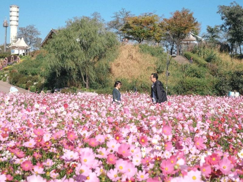 Haneul Park: Thiên nhiên thơ mộng (Ảnh: Trazy)