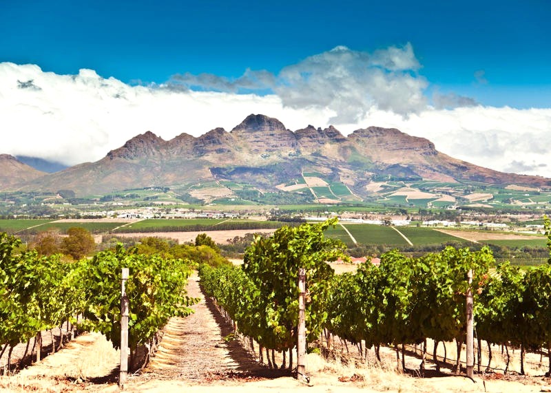 Stellenbosch, Thủ đô rượu vang Nam Phi, là một ngôi làng cổ kính quyến rũ. (Ảnh: Audley Travel)