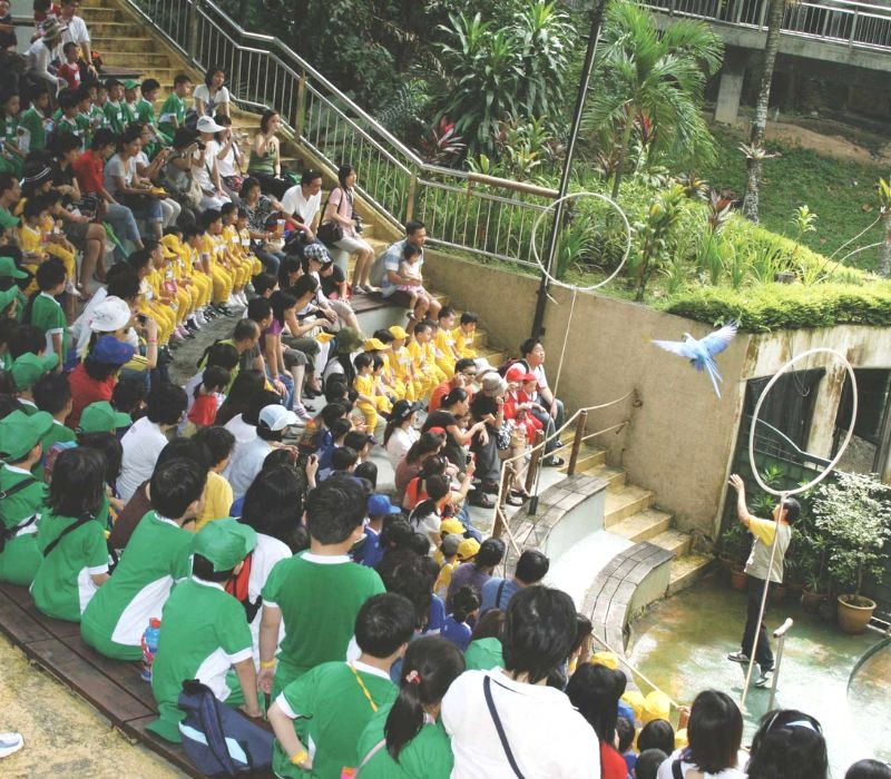 KL Bird Park: Nơi cư ngụ của hơn 3000 loài chim. (75 ký tự)