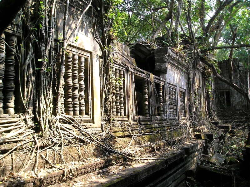 Beng Mealea, hay còn gọi là Đền Rừng, ẩn mình trong khung cảnh cổ kính, bao phủ bởi thảm thực vật phong phú.