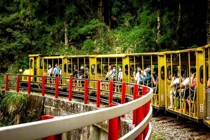 Núi Thái Bình: Nơi người Nhật khai thác gỗ (Ảnh: parkbus)