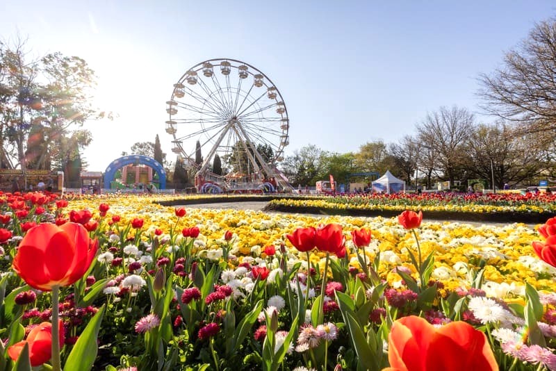 Floriade: Lễ hội mùa xuân lớn nhất Úc.