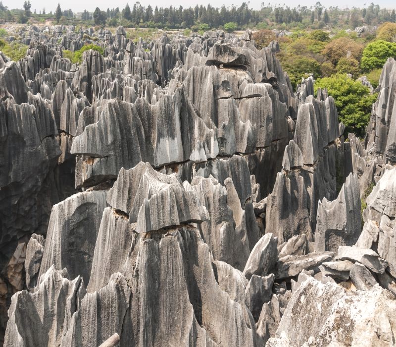 Thạch Lâm: Thiên hạ đệ nhất kỳ quan (Ảnh: wikipedia).