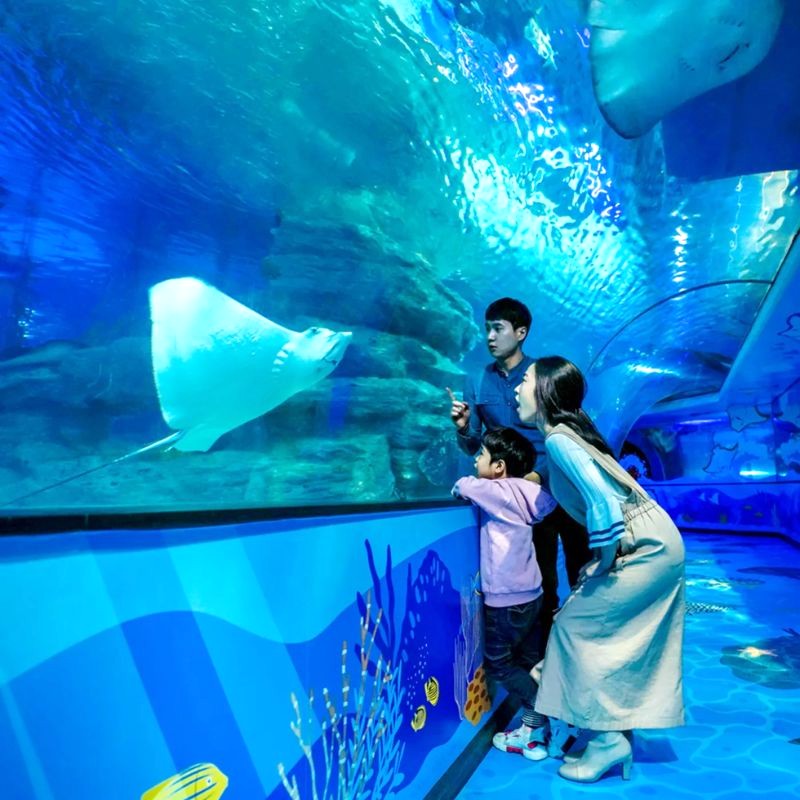 Thủy cung Sealife Busan, một trong những thủy cung lớn nhất Hàn Quốc (Ảnh: visitsealife).