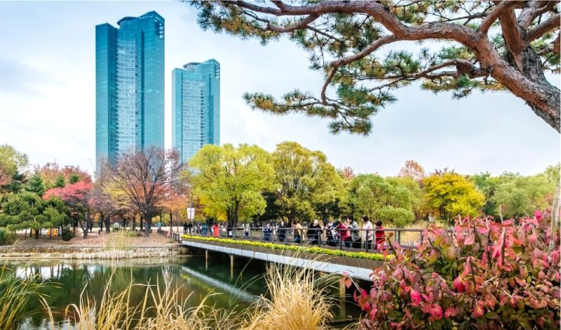 Seoul Forest, công viên lớn thứ 3 Seoul, với 1.200 ha xanh mát, là nhà của hơn 100 loài động vật hoang dã. (Ảnh: koreaetour)