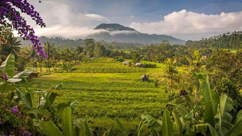 Thiên đường xanh Sidemen ẩn mình ở Đông Bali. (Ảnh: hideoutbali)