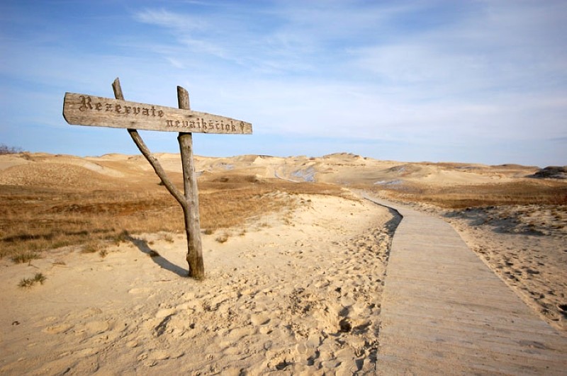 Curonian Spit: Đụn cát cao, rừng thông xanh mát.