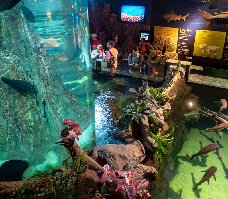 Khám phá thế giới biển đa dạng tại Aquaria KLCC. (Ảnh: Wonderful Malaysia)