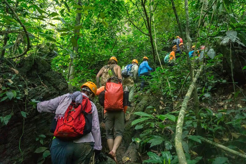 Leo núi, khám phá rừng nguyên sinh - phiêu lưu hấp dẫn! (Ảnh: oxalisadventure)