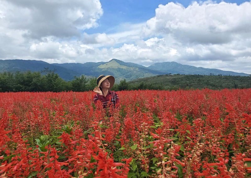 Nơi đây còn có những cánh đồng hoa bạt ngàn. (Ảnh: FB Thiện Mỹ Farm & Homestay)