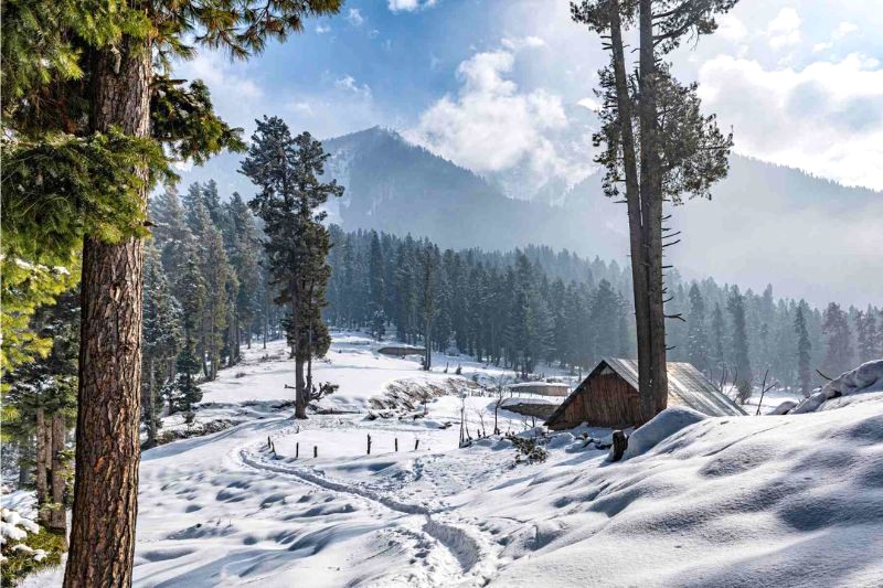 Pahalgam mùa đông: Thiên đường tuyết trắng, hoạt động vui chơi giải trí hấp dẫn. (Ảnh: tripzygo)