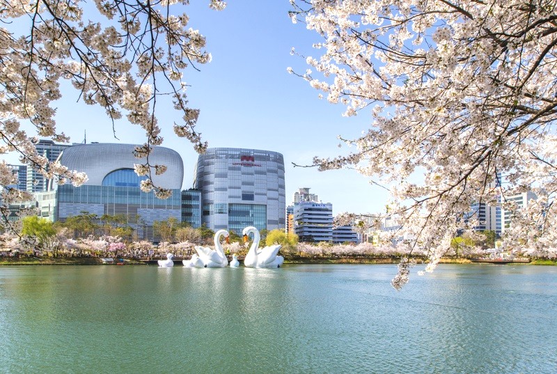 Hồ Seokchon đẹp nhất vào mùa xuân. (Ảnh: Getty Images Bank)