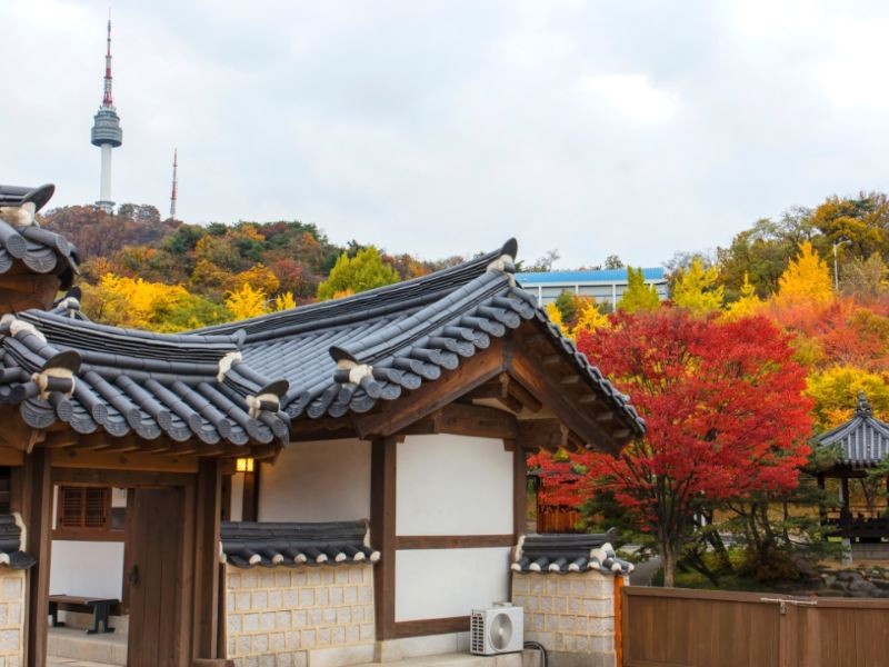 Làng Namsan Hanok mùa thu: yên bình, hoài niệm (Ảnh: Koreattrack.com)