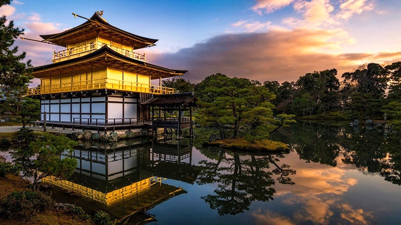 Đền Kinkaku-ji lấp lánh ánh vàng. (44 kí tự)