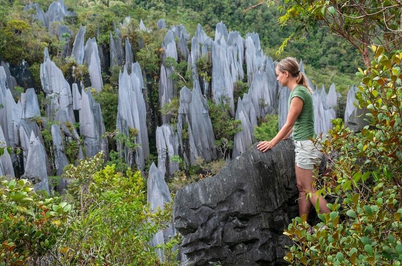 Tháng 3-10 là thời điểm lý tưởng để khám phá Gunung Mulu. (Ảnh: photohound)