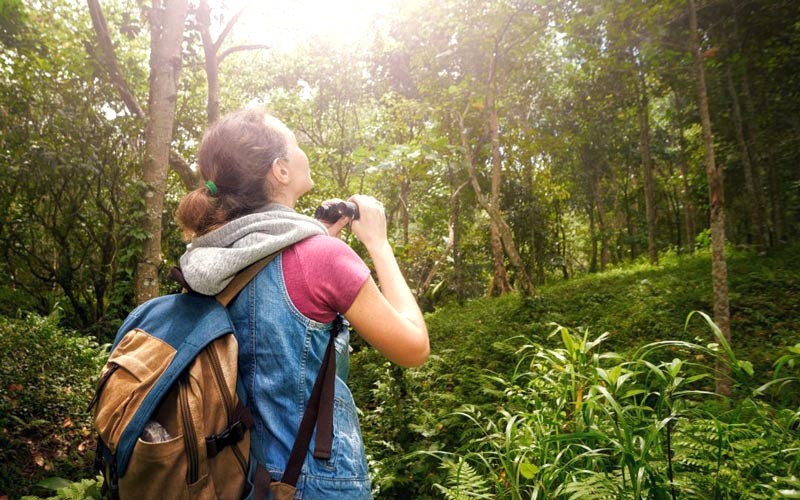 Khám phá thiên nhiên, du lịch sinh thái là lựa chọn tuyệt vời!