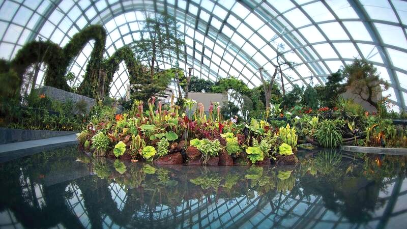 The Lost World, tầng cao nhất của Cloud Forest Singapore. (Ảnh: Gardens by the Bay)