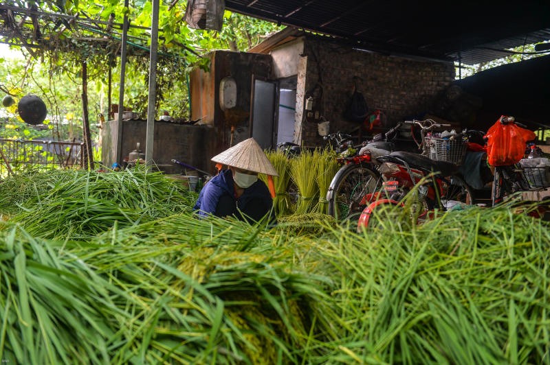 Làng Mễ Trì nổi tiếng với cốm dẻo thơm, là kết quả của sự dày công nghiên cứu của người dân.