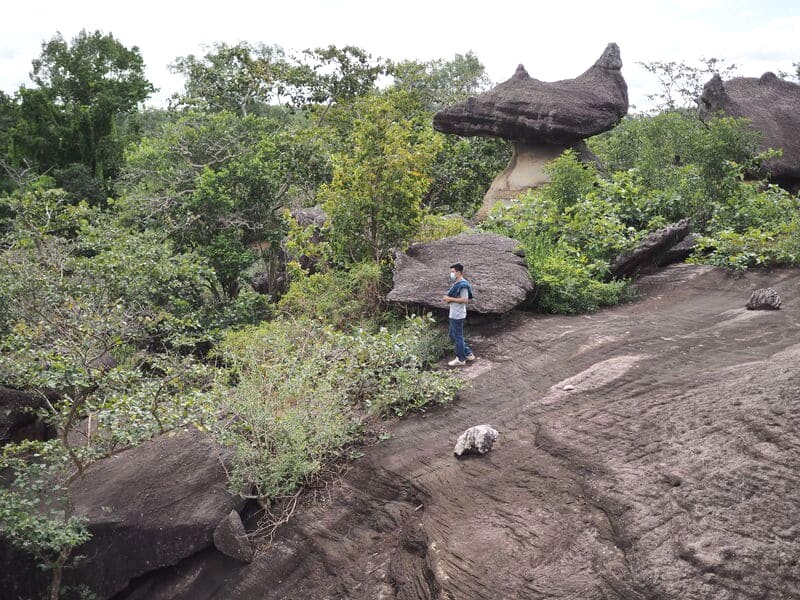 Công viên Quốc gia Mukdahan (Phu Pha Thoep) - điểm du lịch nổi tiếng nhất Mukdahan. (Ảnh: Prinyavee Kittirattheerakul)