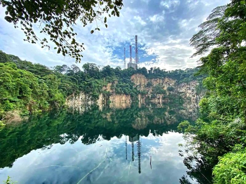 Công viên Bukit Timah, khu dự trữ sinh quyển của Singapore, khoe vẻ đẹp thiên nhiên ngoạn mục. (Ảnh: Placestovisitasia)