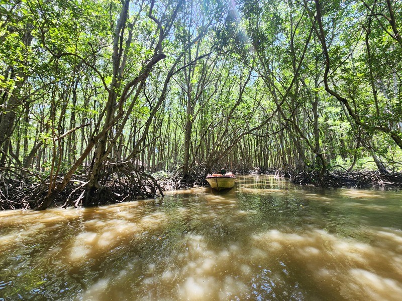 Cần Giờ, gần Sài Gòn, là điểm du lịch lý tưởng với nhiều địa điểm hấp dẫn. (Ảnh: Js Kim)