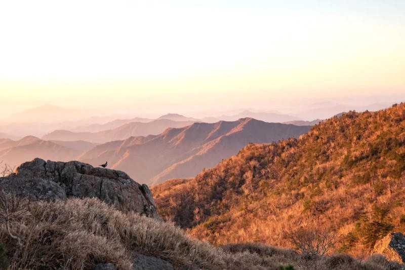 Jirisan (1.900m), ngọn núi cao nhất miền Nam Hàn Quốc. (Ảnh: Green Eyed Explorer)