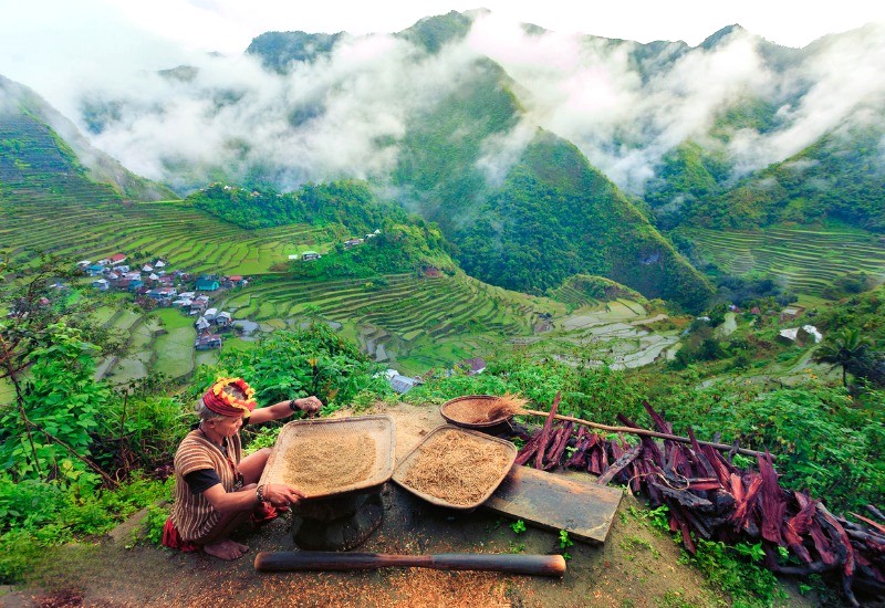 Banaue nổi tiếng với những ruộng bậc thang ngoạn mục. (Ảnh: guidetothephilippines)