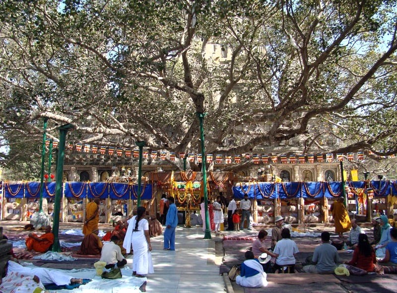 Đại hội Phật giáo tại Bodh Gaya, 2013. (Ảnh: Triratna_Photos)