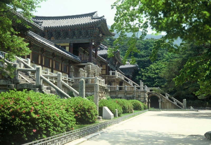 Mùa hè mát mẻ, phủ xanh bởi cây cỏ. (Ảnh: gyeongju)