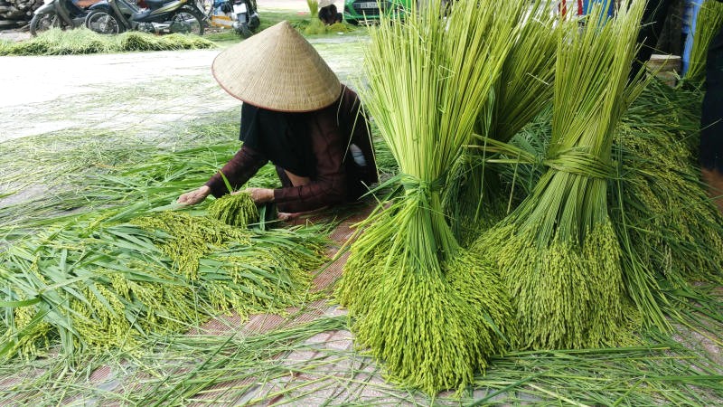 Công nhận di sản văn hóa phi vật thể quốc gia là động lực to lớn giúp người dân làng Mễ Trì gìn giữ và phát huy nghề truyền thống. (Ảnh: Kenh14.vn)