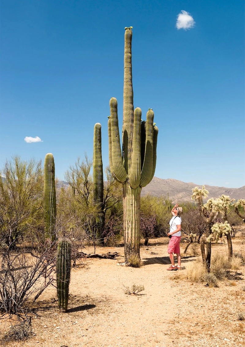 Khám phá Arizona: Hướng dẫn du lịch đầy đủ!