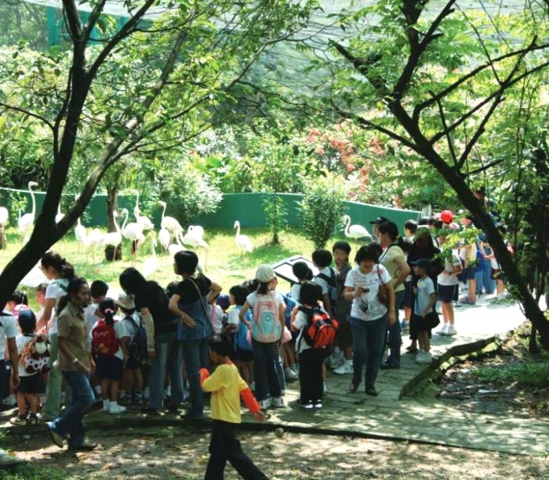 Ngắm hồng hạc duyên dáng tại klbirdpark.