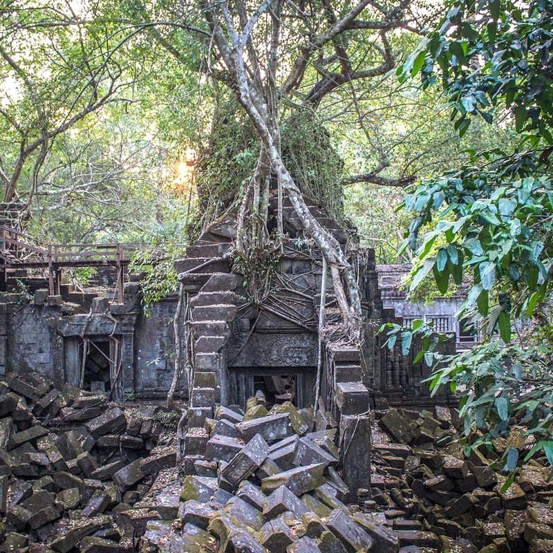 Beng Mealea, ẩn mình trong rừng rậm, là một ngôi đền linh thiêng với vẻ đẹp bí ẩn, thu hút du khách khám phá. (Ảnh: Michael Turtle)