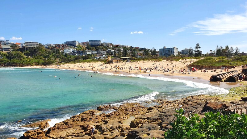 Bãi biển Freshwater gần Manly. (Ảnh: northernbeaches)