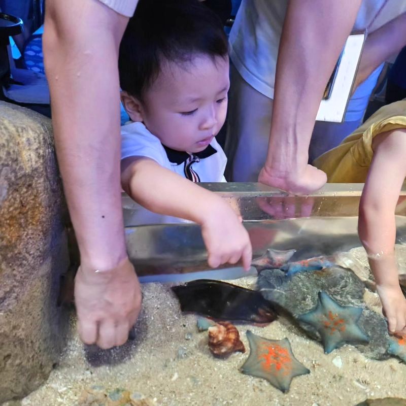 Gặp gỡ sinh vật biển tại Rockpool! 🌊  📸: @oo_ppeum