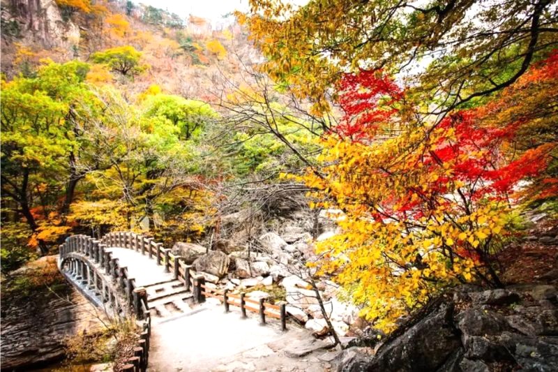 Seoraksan National Park mê hoặc du khách với dãy núi hùng vĩ, cây cối xanh mướt và những công trình kiến trúc cổ kính. (Ảnh: Veltra)