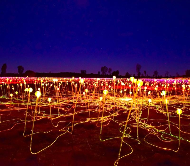 Field of Light lấp lánh lung linh (Ảnh: Explore Shaw).