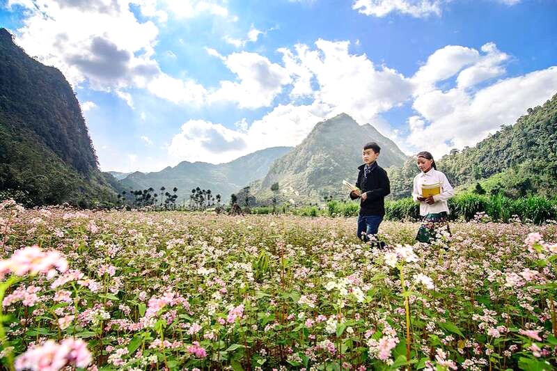 Thung lũng trải rộng với những cánh đồng hoa rực rỡ xen lẫn lúa, ngô (Ảnh: localvietnam).