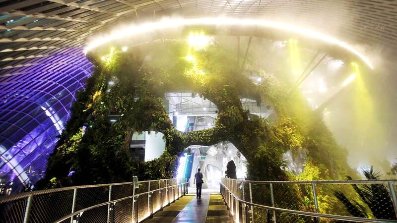 Trải nghiệm Treetop Walk, góc nhìn ấn tượng khi khám phá Cloud Forest Singapore. (Ảnh: Gardens by the Bay)