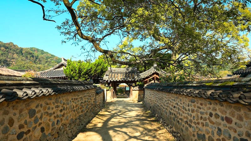 Namsa Yedam: Ngôi làng thơ mộng giữa thiên nhiên tuyệt đẹp. (Ảnh: Tour Đi Bộ - Seoul Walker)