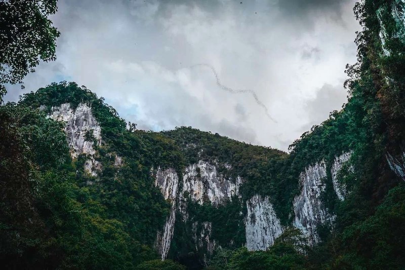 Gunung Mulu nổi tiếng với những dãy núi đá vôi kỳ vĩ. (84 ký tự)